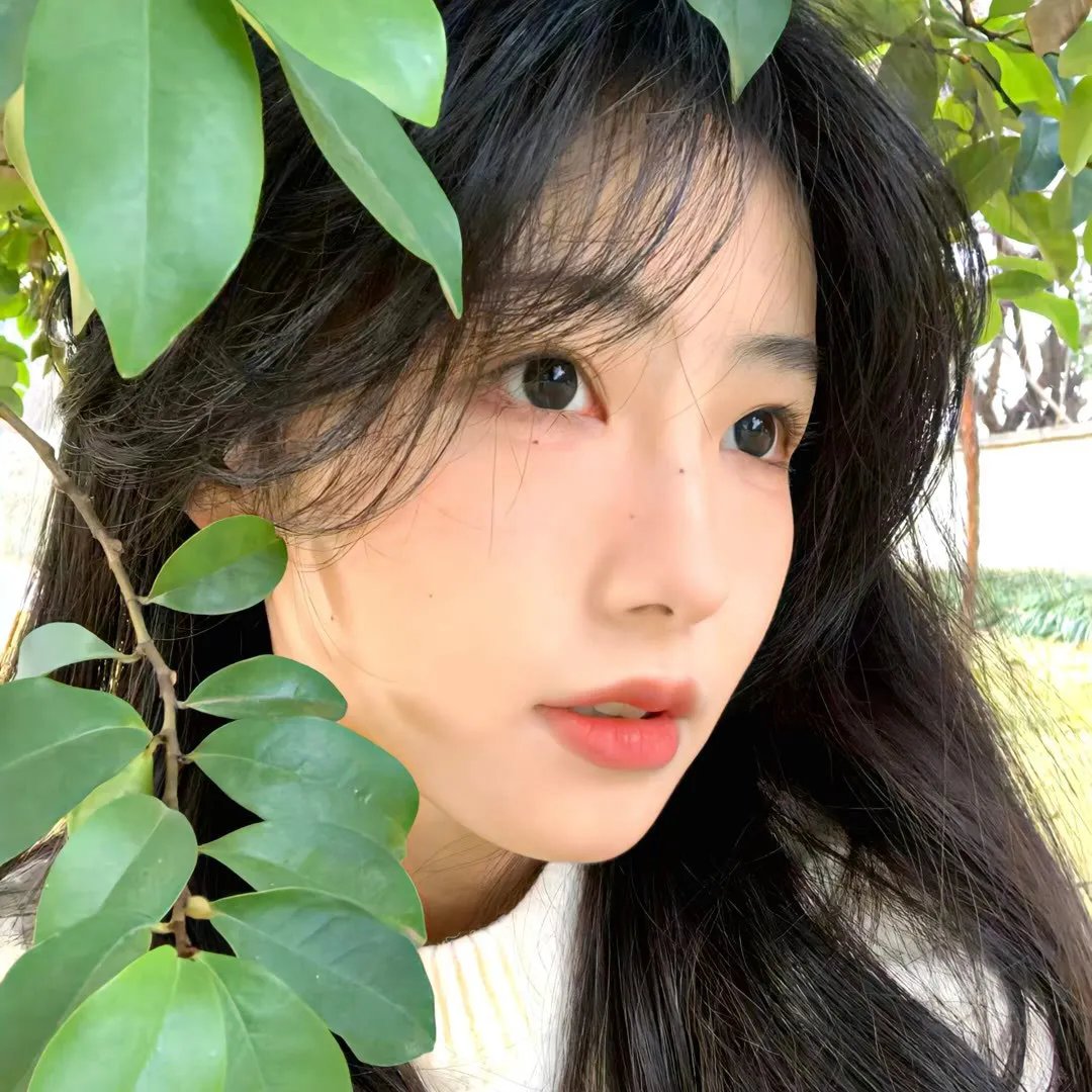 罗伯特·齐默尔曼的爱情